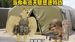部队里最不缺的就是天赋