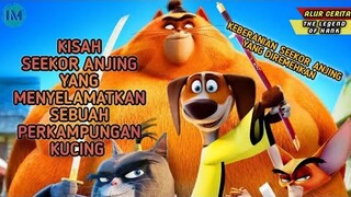 ANJING YANG DIREMEHKAN TERNYATA ADALAH SAMURAI‼️