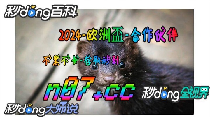 欧洲杯片 🐋🔥《《 n 0 7 . c c 》》🔥🐋 - 《 《 y n c t 5 5 . c o m 》》