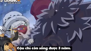 Top 8 Người Vô Tình Ăn Trái Ác Quỷ trong One Piece p6