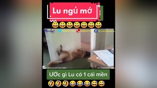 giaitri chócute chómèohàihước  Lu ngủ mớ