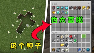 Minecraft: Is it reasonable for a seed to be so rich?