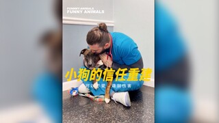 伤害一只动物很简单，赢得它们信任却很难