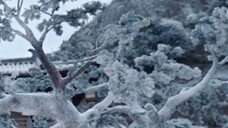 € 11-20 •บั.น.ทึ.ก.หิ.ม.ะ•