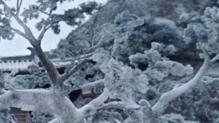 € 11-20 •บั.น.ทึ.ก.หิ.ม.ะ•