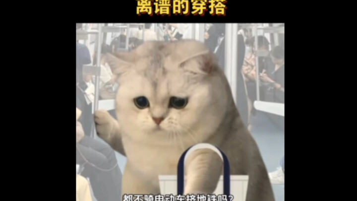 I just can’t wrap my head around these fall/winter outfits where the bottom half is basically missin