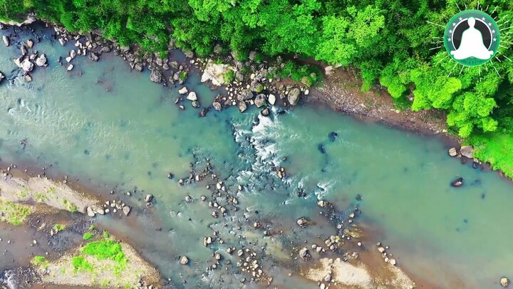 Instrumental Piano, Suara Gemercik Air Alami dan Natural, Cocok Untuk Relaksasi Pikiran 💛 Relax
