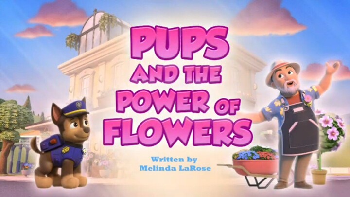 Paw patrol Musim 11 Episode 20 original
