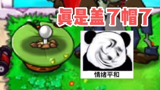In ancient times, people put small quilts inside pumpkins, and now people put small hats on flower p