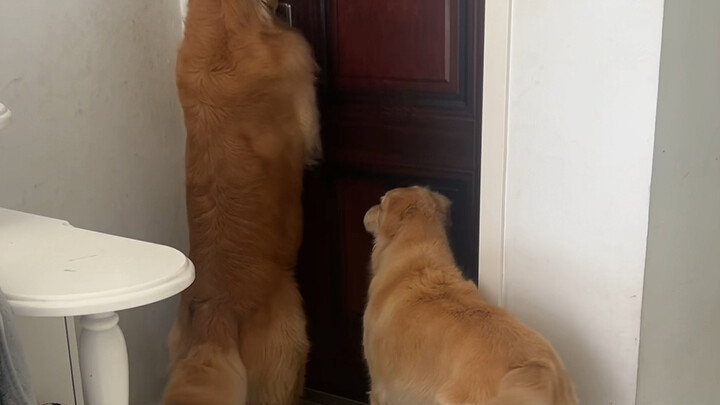 Siapa yang mau lepas baterai mereka berdua? Tidak boleh!