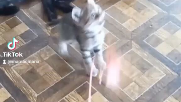 pang palipas stress😻😻😻