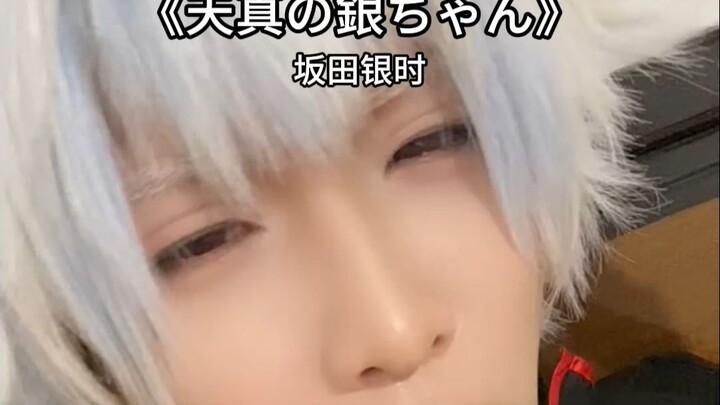 天真の银桑