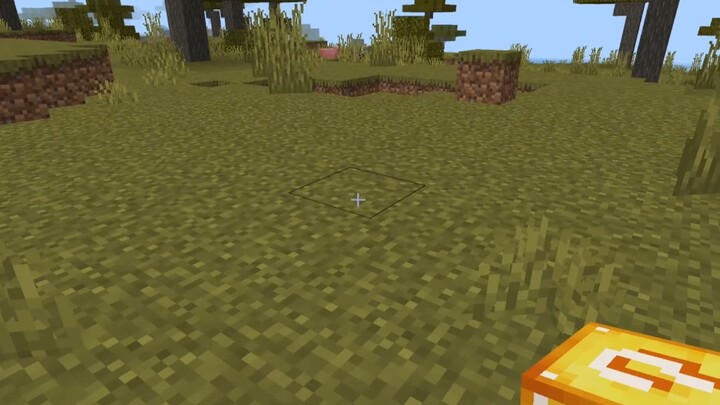 Minecraft Unlucky Bear 3