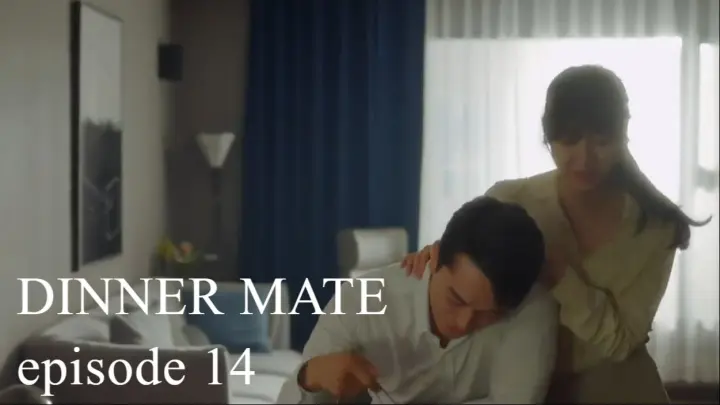 Dinner Mate (2020) Episode 14 Online With English sub