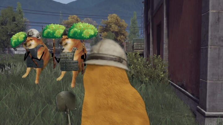 《暗区突围》: วันดีๆ เริ่มต้นด้วยการวิ่งไล่ฆ่า!