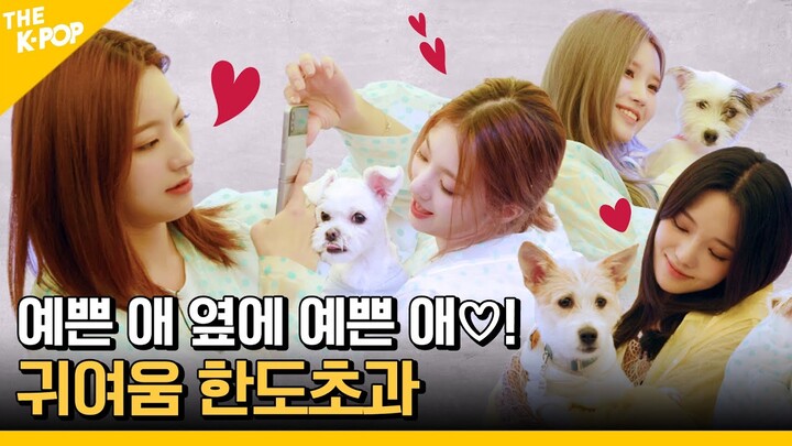 귀여운 댕댕이들을 위해 유기견 보호소를 찾은 프로미들!  [아이돌 사생대회] 3회 선공개