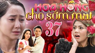 PHIM HOA HỒNG CHO SỚM MAI - TẬP 37 | PHIM BỘ VIỆT NAM HAY NHẤT 2024 | PHIM VIỆT HAY NHẤT 2024