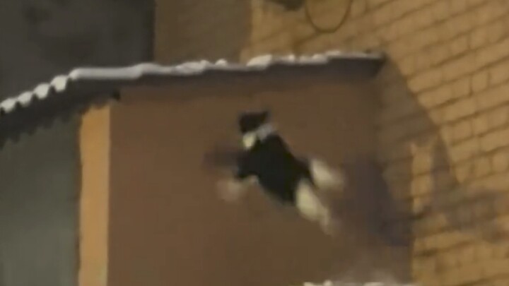 Hey, can you stop staring at me?