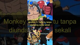 KRU SHP YANG TIDAK DIHARAPKAN BERGABUNG, AWALNYA #onepiece #strawhatpirate #nicorobin