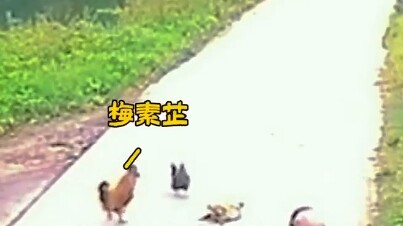 Saya yang pertama kali diratakan menjadi bentuk