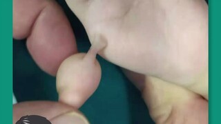 Tiểu Tùng Tùng của Phiêu Phù Điều sẽ có cảm giác không nhỉ?