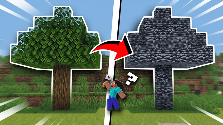 พอผู้เล่นสัมผัสไอเทมอะไรก็ตาม ตัวเขาก็กลายเป็นหินบล็อกไปเลย! ผู้เล่น: แล้วบ้านฉันล่ะ!!!