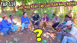 (Tập 116) Nông Nghiệp VIỆT NAM ở Châu Phi | Cuộc Họp Khẩn Cấp Của Team Châu Phi với Team Nông Nghiệp