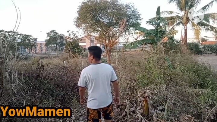 kakaibang hugis grabe ba! sa totoo Lang!