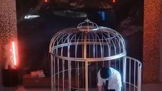 ❤️‍🔥Obsessive CEO❤️‍🔥