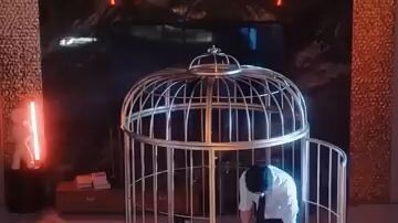 ❤️‍🔥Obsessive CEO❤️‍🔥