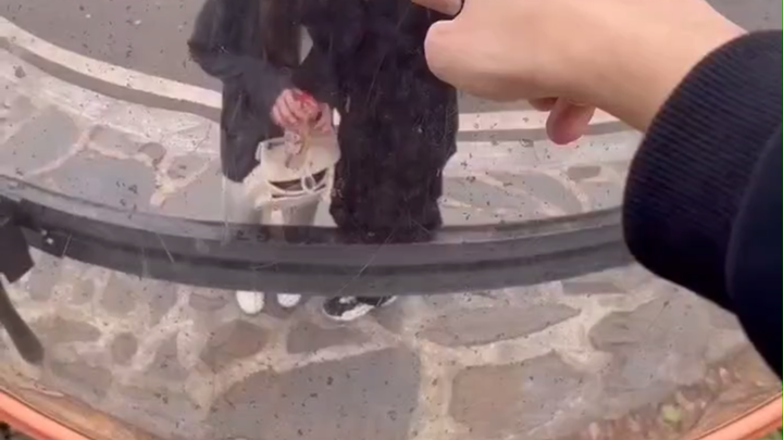 ปีนเขาเยว่ลู่จนหมดแรง ฝากบอกต่อหน่อยนะ [หาแฟนได้แล้ว doge]