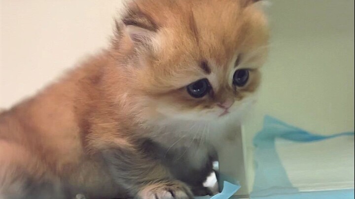 回家的路——太难了！