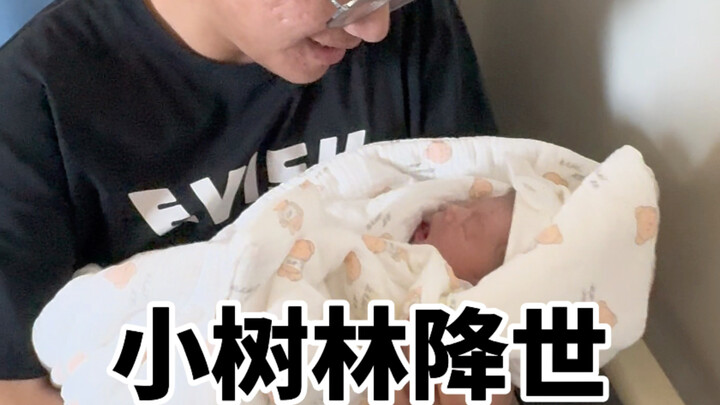 Welcome, Little Forest, to the world!