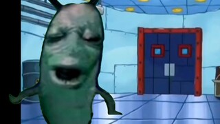 Plankton after my wife exploded