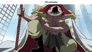 10 Tội ác mà _Chó Đỏ_ Akainu đã gây ra khiến Fan không thể tha thứ __ 4