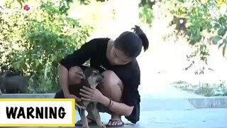 cara merawat anjing biar lebih sehat