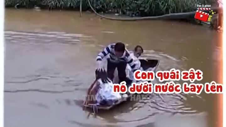 Con gì mà nhìn ghê thế nhỉ ???