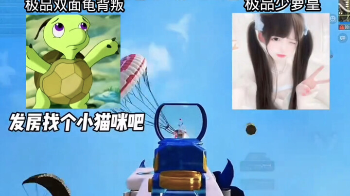 เต่าสองหน้าสุดล้ำค่าตามหาลูกแมวเพื่อดูผู้เล่นที่ติดคุก 1.5 พันล้าน