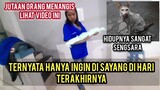 Astagfirullah Kucing Jalanan Ini Datang Hanya Ingin Mendapat Kasih Sayang Di Hari Terakhirnya..!