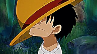 Luffy king of pirates<'333