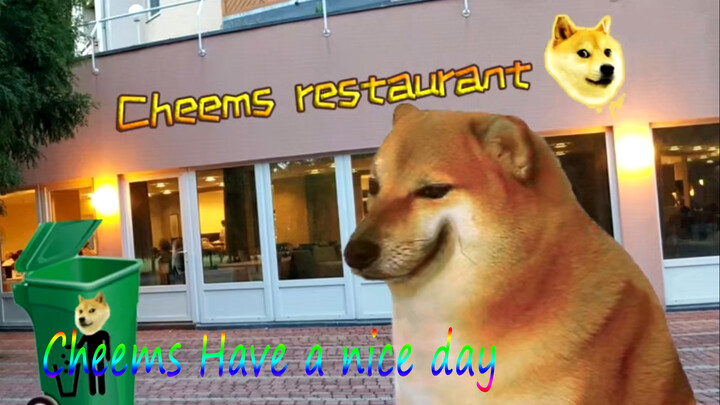 A Pleasant Day Of Cheems