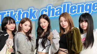【LE SSERAFIM】Chimei menemukan cara menggunakan Tiktok (Bagian 2) Mari kita lihat siapa lagi yang ber