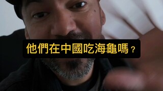 在中國你吃烏龜嗎？