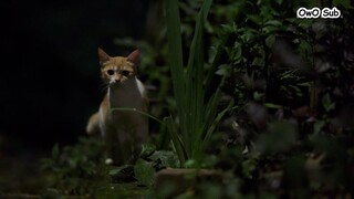 Bloody Game Season 2 Ep 9 VIETSUB