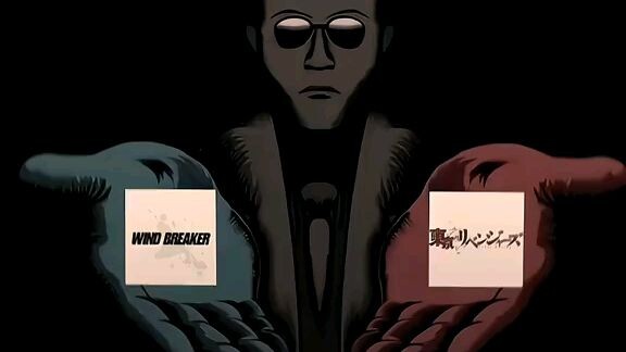 wind braker or tokrev?