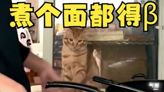 煮个面都得β！！！