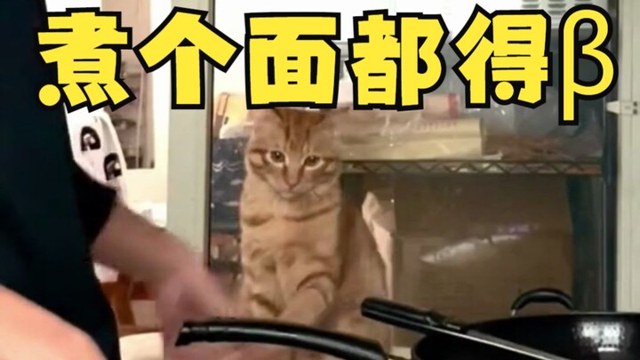 Even making a bowl of noodles requires beta!!!