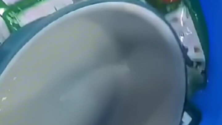 Làm nghề nào, yêu nghề đó, tôi yêu việc kỳ lưng