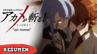 🌀Akame Ga Kill | Resumen en 10 Minutos "así nomas"