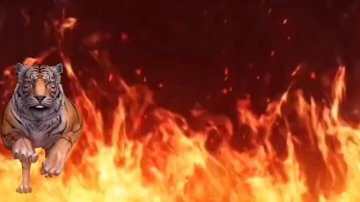 Cảm ơn bạn meo meo! Cảm ơn bạn meo meo!